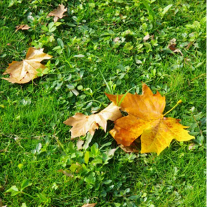 美女把尿口扒开让男人添
