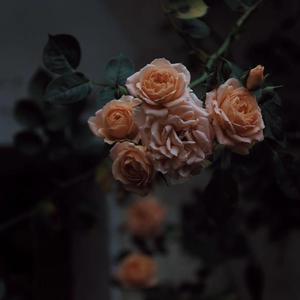 美女把尿口扒开让男人添
