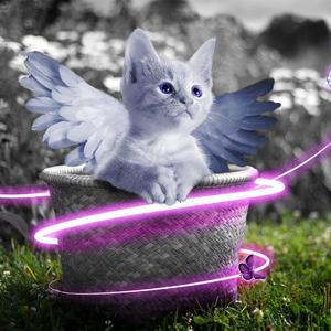 美女把尿口扒开让男人添
